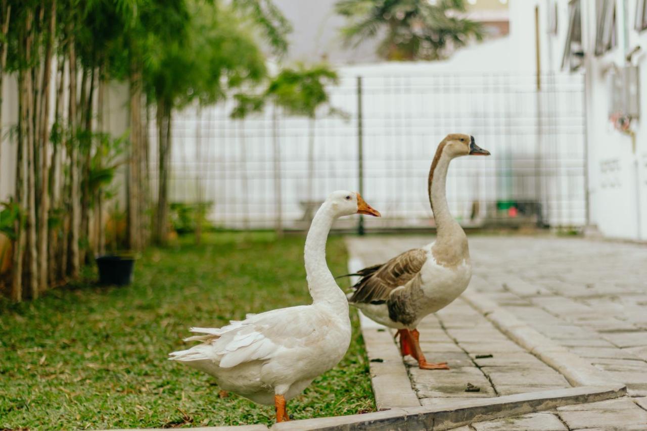 Urbanest Inn House Slipi Dżakarta Zewnętrze zdjęcie